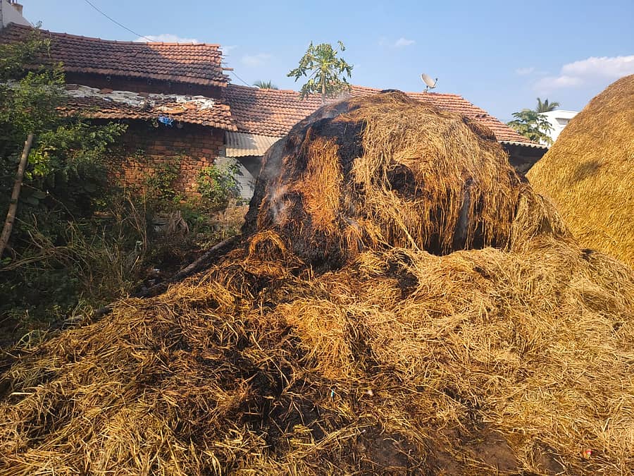ತ್ಯಾವಣಿಗೆ ಸಮೀಪದ ಬೆಳಲಗೆರೆ ಗ್ರಾಮದಲ್ಲಿ ಭತ್ತದ ಬಣವಿಗೆ ಬೆಂಕಿ ಬಿದ್ದಿರುವುದು