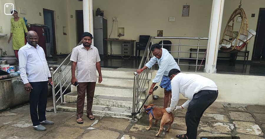 ಲಾಡ್ಲಾಪುರ ಗ್ರಾಮದಲ್ಲಿ ಪಶು ಇಲಾಖೆ ಸಿಬ್ಬಂದಿ ಸಾಕು ನಾಯಿಗಳಿಗೆ ರೇಬಿಸ್ ಚುಚ್ಚುಮದ್ದು ನೀಡಿದರು
