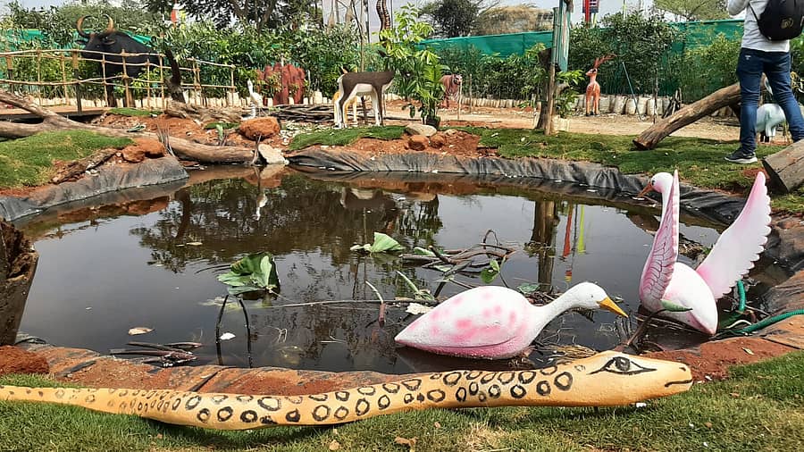 ಕೃತಕ ಕೊಳದಲ್ಲಿ ಸ್ವಚ್ಚಂದವಾಗಿ ತೇಲಾಡುತ್ತಿರುವ ಕೊಕ್ಕರೆಗಳು