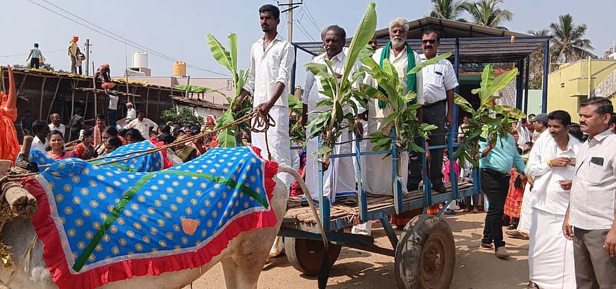 ಸಾಸ್ವೆಹಳ್ಳಿ ಸಮೀಪದ ಕಮ್ಮಾರಗಟ್ಟೆಯಲ್ಲಿ ಜಾನಪದ ಜಾತ್ರೆಯಲ್ಲಿ ಅತಿಥಿಗಳನ್ನು ಎತ್ತಿನ ಬಂಡಿಯಲ್ಲಿ ಮೆರವಣಿಗೆ ಮಾಡಲಾಯಿತು