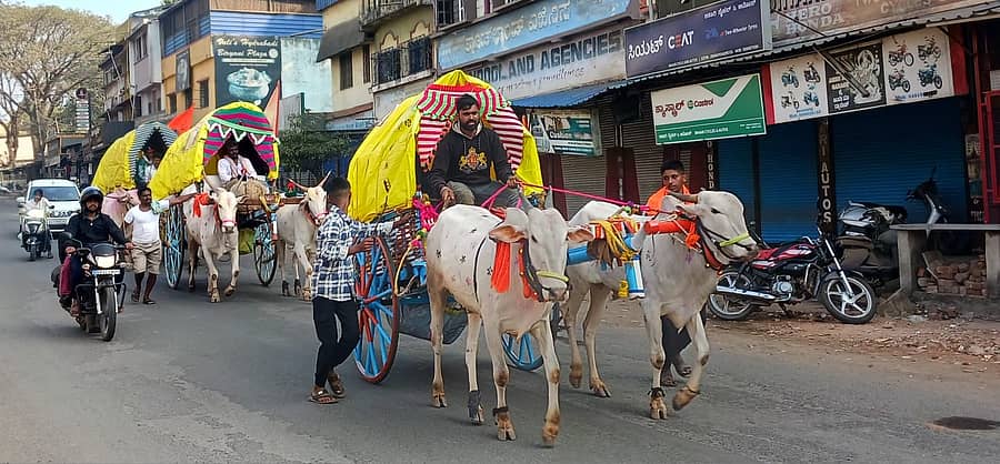 ಉಳವಿ ಜಾತ್ರೆಗೆ ವಿವಿಧ ಊರುಗಳಿಂದ ಸಾಗಿಬಂದ ಚಕ್ಕಡಿಗಳು ದಾಂಡೇಲಿ ಕಂಡು ಬಂದಿದ್ದು ಹೀಗೆ