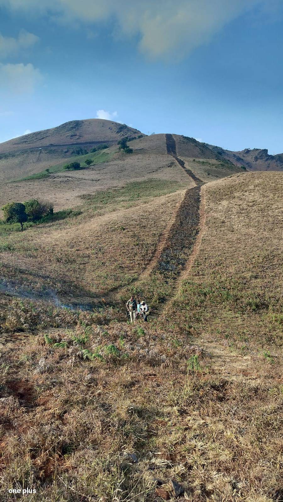 ಚಿಕ್ಕಮಗಳೂರಿನ ಸೀತಾಳಯ್ಯನಗಿರಿ ವ್ಯಾಪ್ತಿಯಲ್ಲಿ ಅರಣ್ಯ ಇಲಾಖೆ ಬೆಂಕಿ ಪಥ ನಿರ್ಮಾಣ ಮಾಡಿರುವುದು