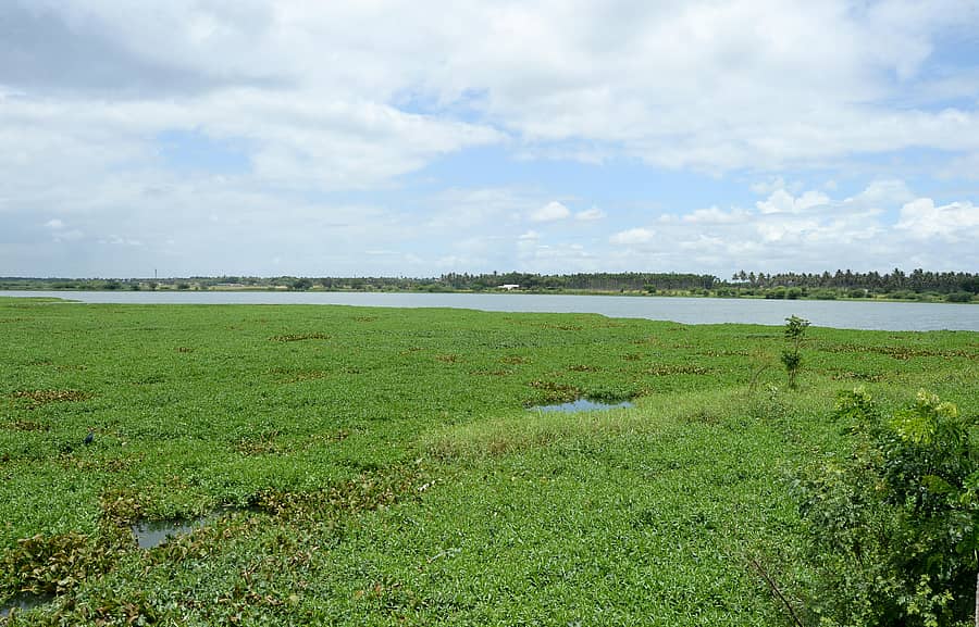 ಸಾಂದರ್ಭಿಕ ಚಿತ್ರ