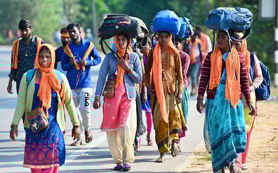 ಧರ್ಮಸ್ಥಳಕ್ಕೆ ಪಾದಯಾತ್ರೆ ತೆರಳುತ್ತಿರುವ ಭಕ್ತರು –ಸಂಗ್ರಹ ಚಿತ್ರ