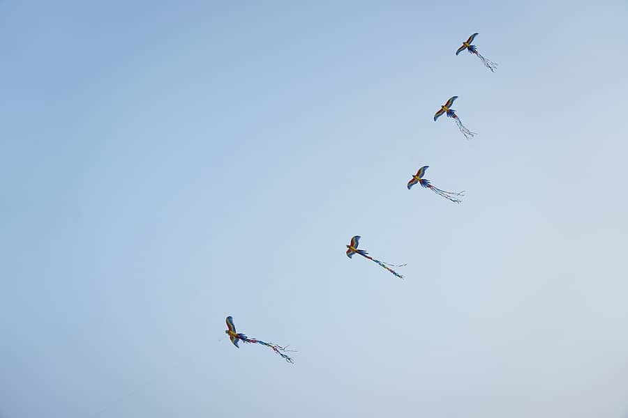 ರಾಯಚೂರಿನ ಮಾವಿನ ಕೆರೆಯ ಮೇಲೆ ಹಾರಾಡಿದ ಬಣ್ಣದ ಗಿಳಿಗಳನ್ನು ಹೋಲುವ ಗಾಳಿಪಟಗಳು / ಚಿತ್ರ: ಶ್ರೀನಿವಾಸ ಇನಾಂದಾರ್