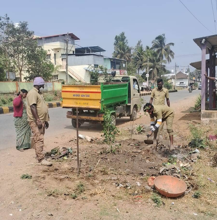 ಆಲೂರಿನಲ್ಲಿ ಕಸವಿದ್ದ ಸ್ಥಳವನ್ನು ಶುಚಿಗೊಳಿಸಿ ಗಿಡ ನೆಡುತ್ತಿರುವ ಪುರಸಭೆ ಸಿಬ್ಬಂದಿ