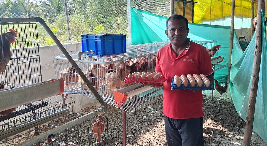 ರಾಣೆಬೆನ್ನೂರು ತಾಲ್ಲೂಕಿನ ಚಳಗೇರಿ ಗ್ರಾಮದ ಯುವಕ ಅಜ್ಜಪ್ಪ ಕರಬಸಪ್ಪ ಬಣಕಾರ ಅವರ ನಾಟಿ ಕೋಳಿ ಫಾರ್ಮ್‌