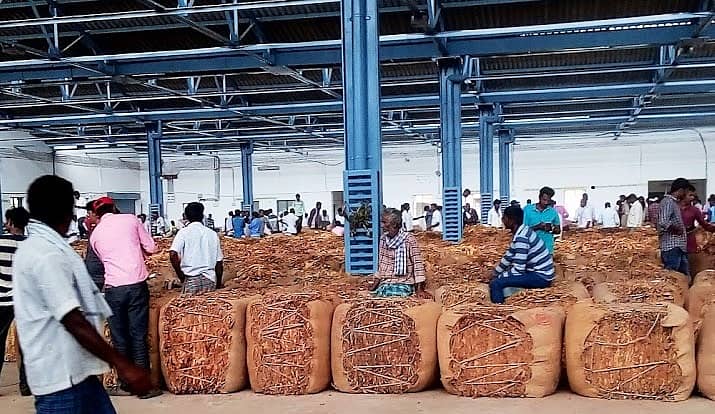 ರಾಮನಾಥಪುರದ ಹರಾಜು ಮಾರುಕಟ್ಟೆಯಲ್ಲಿ ತಂಬಾಕು ಮಾರಾಟಕ್ಕೆ ಬೇಲ್‌ಗಳನ್ನು ಜೋಡಿಸಿರುವುದು.