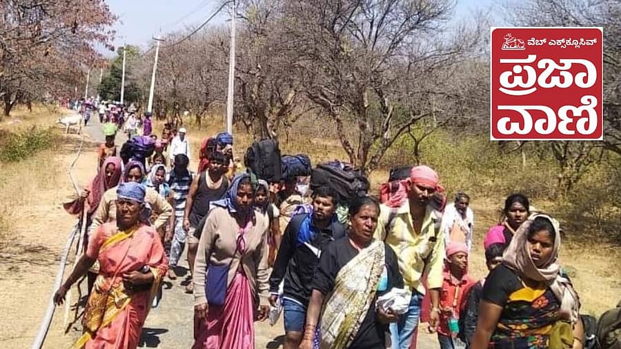 <div class="paragraphs"><p>ಕಾಡಿನ ಹಾದಿಯಲ್ಲಿ ಮಲೆ ಮಹದೇಶ್ವರನ ಬೆಟ್ಟಕ್ಕೆ ಪಾದಯಾತ್ರೆ ಹೊರಟಿರುವ ಭಕ್ತರು</p></div>