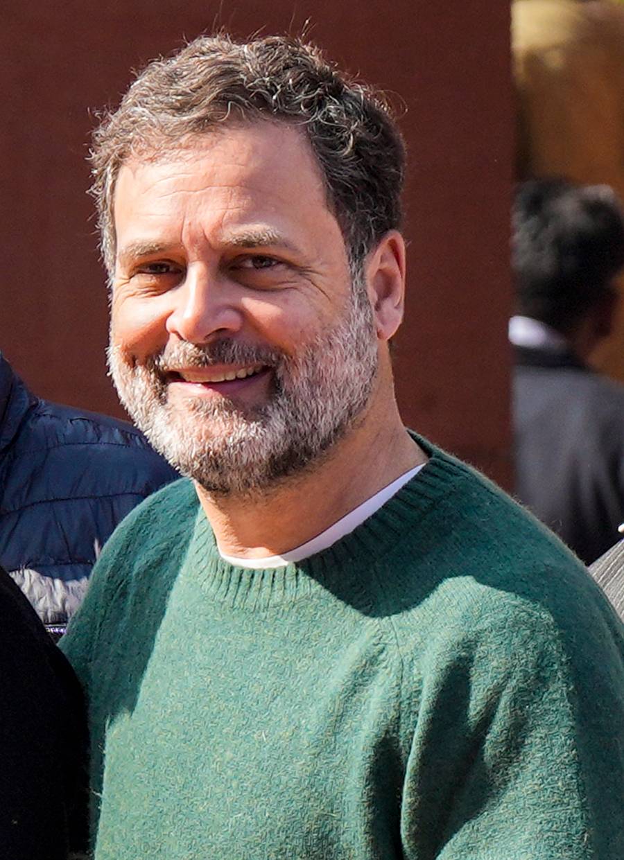 ರಾಹುಲ್ ಗಾಂಧಿ (ಪಿಟಿಐ ಚಿತ್ರ)