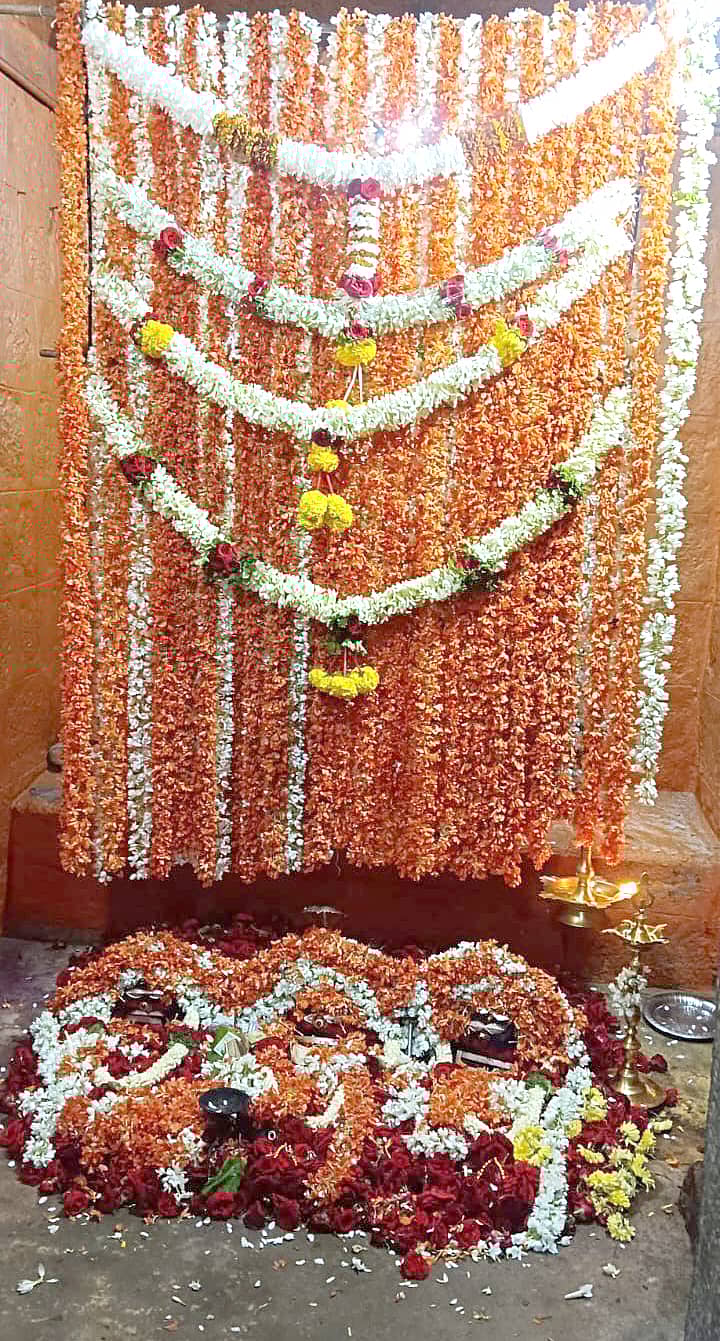 ಮಳವಳ್ಳಿ ತಾಲ್ಲೂಕಿನ ದೇವಿಪುರ ಗ್ರಾಮದಲ್ಲಿ ಶುಕ್ರವಾರ ಮತ್ತು ಶನಿವಾರ ನಡೆದ ಗ್ರಾಮದೇವತೆ ಪಟ್ಟಲದಮ್ಮನ ಹಬ್ಬದ ಹಿನ್ನೆಲೆಯಲ್ಲಿ ದೇವರಿಗೆ ವಿವಿಧ ಬಗೆಯ ಹೂಗಳಿಂದ ಅಲಂಕಾರ ಮಾಡಲಾಗಿತ್ತು 