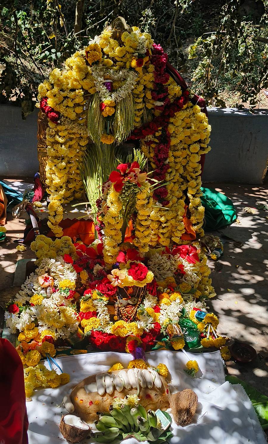 ಪಟ್ಟಲದಮ್ಮನಿಗೆ ವಿಶೇಷ ಪೂಜೆ