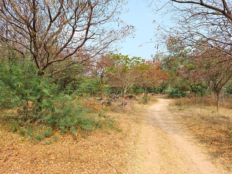 ಶಹಾಪುರ ತಾಲ್ಲೂಕಿನ ಭೀಮರಾಯನಗುಡಿ ಶಹಾಪುರ- ವಿಜಯಪುರ ರಾಜ್ಯ ಹೆದ್ದಾರಿಗೆ ಹೊಂದಿಕೊಂಡಿರುವ ಬೂದಿ ದಿನ್ನೆಯ ಸ್ಥಳ