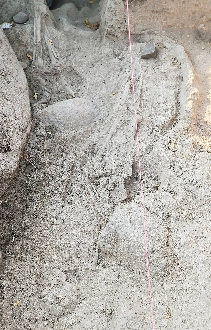 ತೆಕ್ಕಲಕೋಟೆ ಪಟ್ಟಣದಲ್ಲಿ ಉತ್ಖನನದ ವೇಳೆ ಭಾನುವಾರ ಸಿಕ್ಕಿರುವ ಅಸ್ಥಿಪಂಜರ.