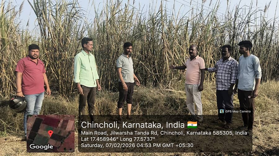 ಚಿಂಚೋಳಿ ತಾಲ್ಲೂಕಿನ ಶಾದಿಪುರದಲ್ಲಿ ಕೃಷಿಕರಾದ ರಾಮ್ಲು ದೊರಟಿ ಅವರ ಹೊಲದಲ್ಲಿ ಕಬ್ಬು ಬೆಳೆ ಬೆಂಕಿ ತಗುಲಿ ಸುಟ್ಟುಹೋಗಿರುವುದು ಗ್ರಾಮ ಆಡಳಿತಾಧಿಕಾರಿ ರವಿಕುಮಾರ ಮಾನೆ ಭಾನುವಾರ ಪರಿಶೀಲಿಸಿದರು