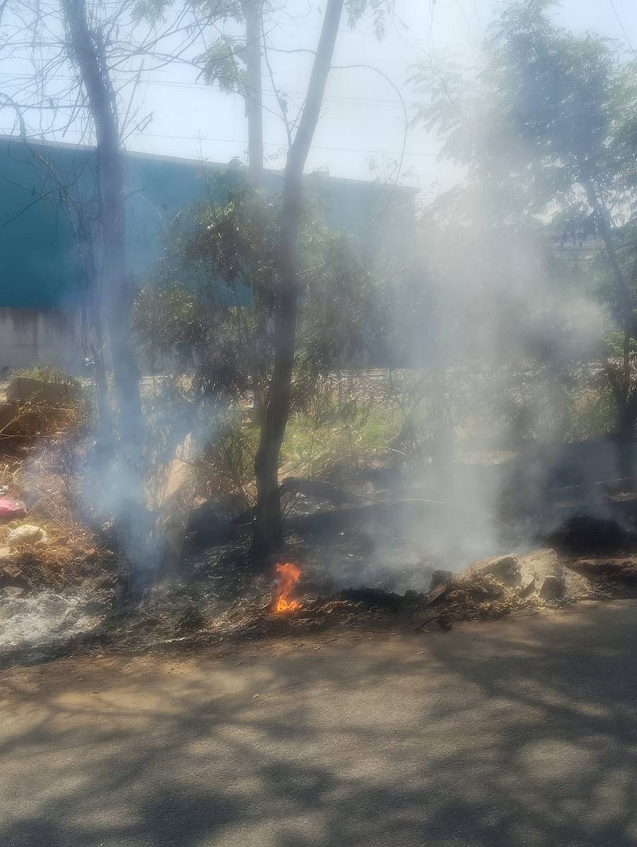 ಮರದ ಬುಡಕ್ಕೆ ಬೆಂಕಿ ಹಚ್ಚಿದ್ದರು