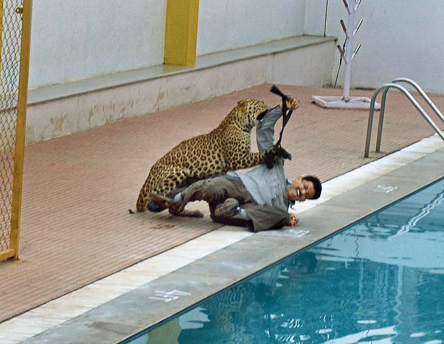 ವೈಟ್‌ಫೀಲ್ಡ್‌ನ ವಿಬ್‌ಗ್ಯೋರ್ ಶಾಲೆಯಲ್ಲಿ ಚಿರತೆ ದಾಳಿ