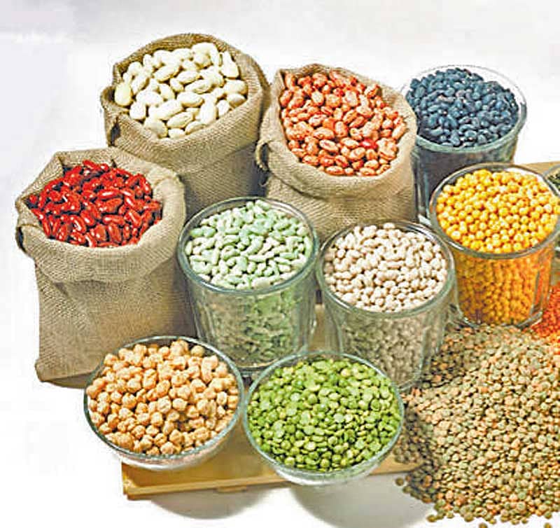 <div class="paragraphs"><p>(ಸಾಂದರ್ಭಿಕ ಚಿತ್ರ)</p></div>