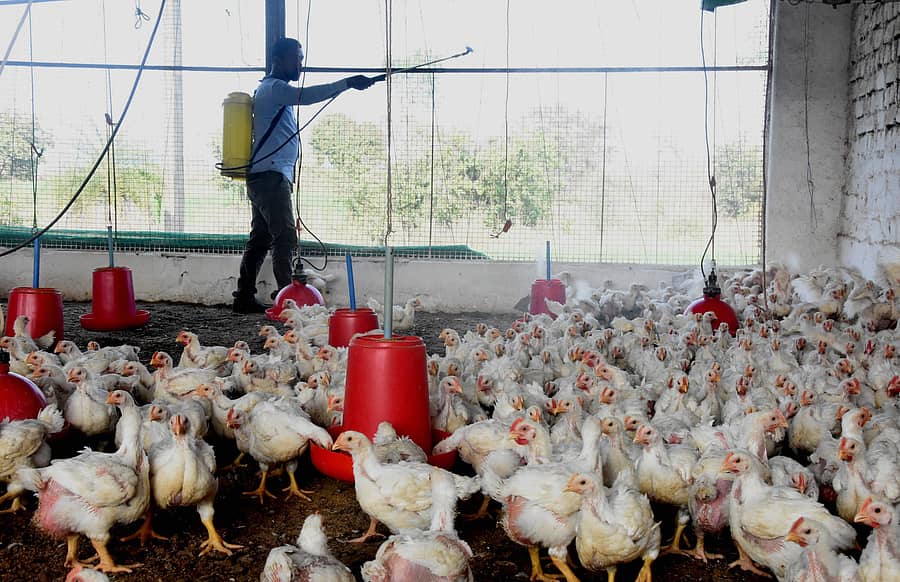 ಸಾಂದರ್ಭಿಕ ಚಿತ್ರ