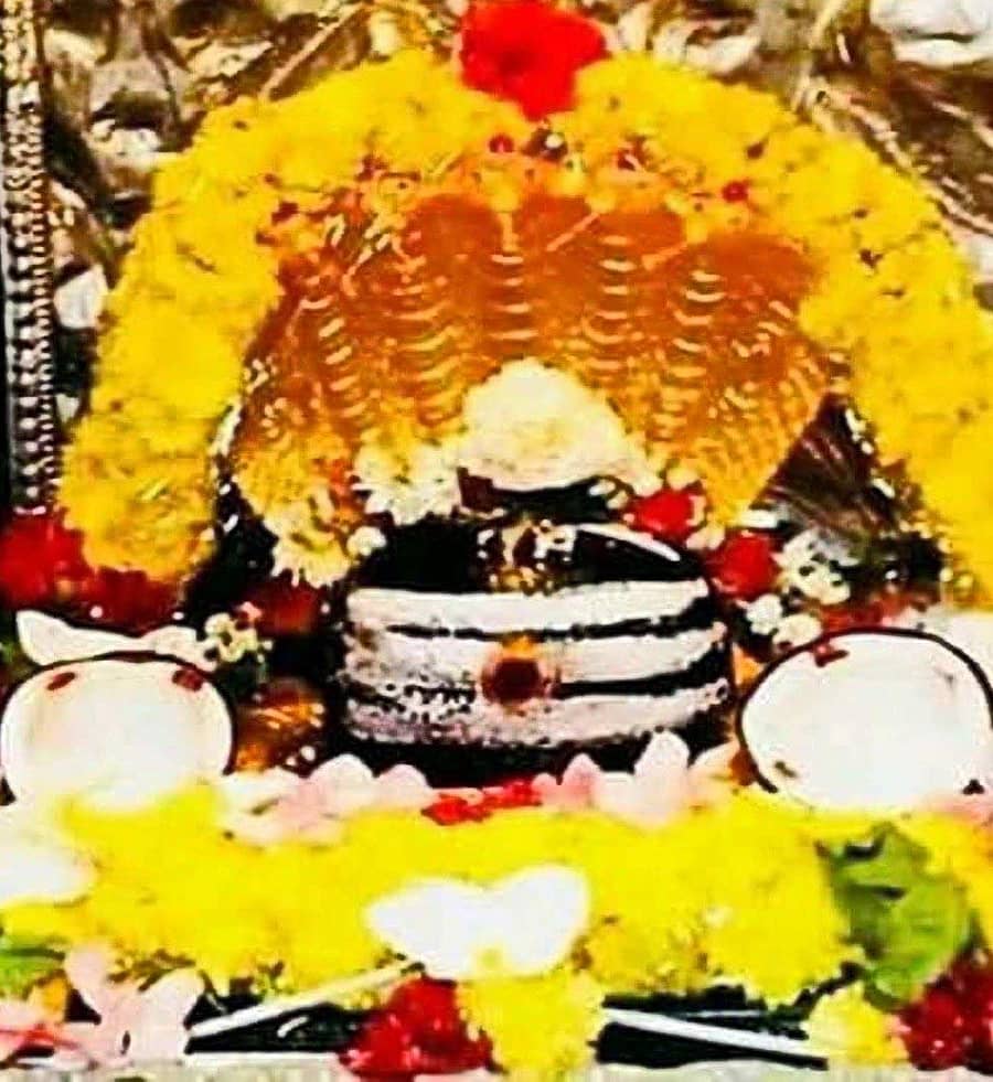 ಚಿತ್ರಾವಳಿ: ಶ್ರೀಶೈಲ ಮಲ್ಲಿಕಾರ್ಜುನಸ್ವಾಮಿ ಮೂರ್ತಿ