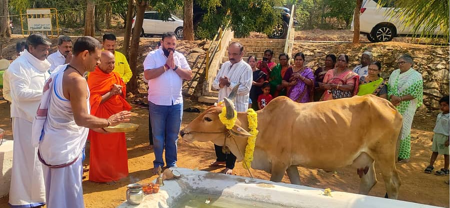 ಮಹಾ ಶಿವರಾತ್ರಿ ಮಹೋತ್ಸವದ ಅಂಗವಾಗಿ ಚಿತ್ರದುರ್ಗದ ಕಾತ್ರಾಳ್‌ ಕೆರೆ ಗೋಶಾಲೆಯಲ್ಲಿ ಸೋಮವಾರ ಶಿವಲಿಂಗಾನಂದ ಸ್ವಾಮೀಜಿ ಗೋಪೂಜೆ ನೆರವೇರಿಸಿದರು