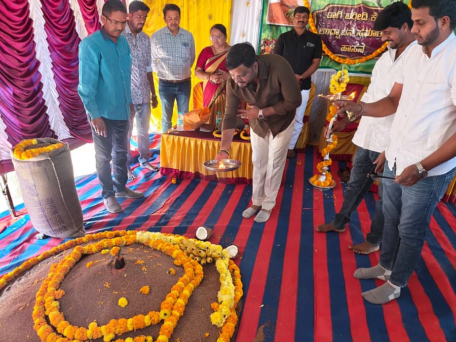 ರಾಗಿ ರಾಶಿಗೆ ಪೂಜೆ ಸಲ್ಲಿಸುವ ಮೂಲಕ ಹಾಸನದ ಎಪಿಎಂಸಿ ಆವರಣದಲ್ಲಿ ರಾಗಿ ಖರೀದಿ ಕೇಂದ್ರವನ್ನು ಗುರುವಾರ ಶಾಸಕ ಸ್ವರೂಪ್‌ ಪ್ರಕಾಶ್ ಉದ್ಘಾಟಿಸಿದರು
