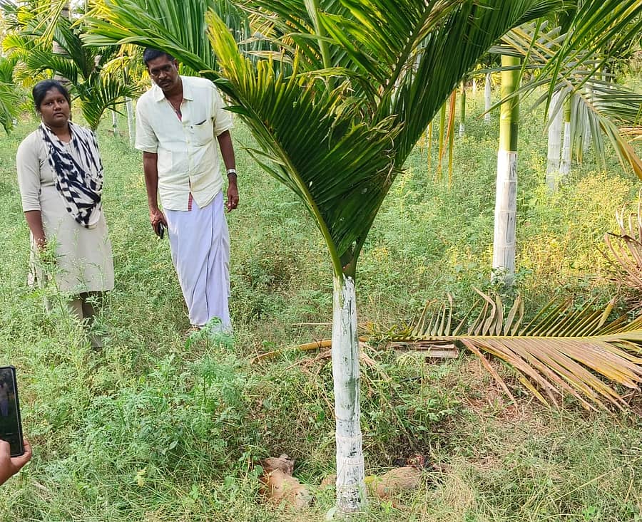 ಹಲಗೂರು ಸಮೀಪದ ನಡಕಲಪುರ ಗ್ರಾಮದ ಹೊರವಲಯದಲ್ಲಿ ಚಿರತೆ ದಾಳಿಯಿಂದ ಮೃತಪಟ್ಟ ನಾಯಿಯನ್ನು ಅರಣ್ಯ ಇಲಾಖೆ ಸಿಬ್ಬಂದಿ ವೀಕ್ಷಣೆ ಮಾಡಿದರು.