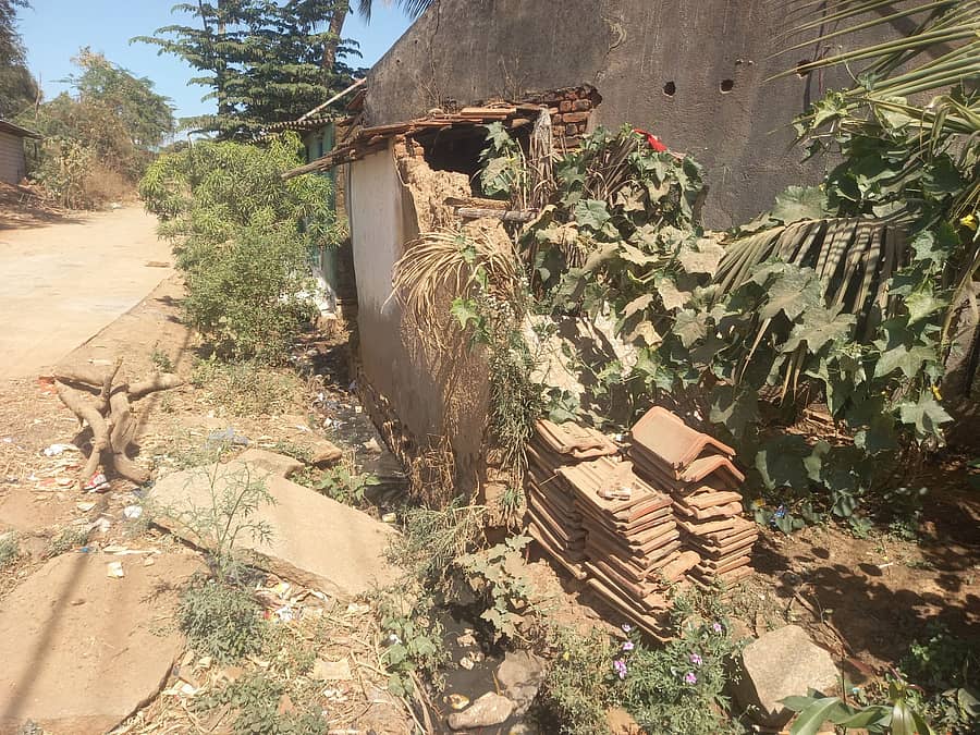 ಮಾಯಕೊಂಡ ಗ್ರಾಮದ ಎ.ಕೆ. ಕಾಲೊನಿಯಲ್ಲಿ ಗಬ್ಬು ನಾರುತ್ತಿರುವ ಚರಂಡಿ