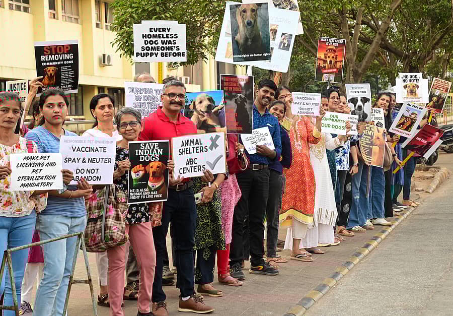 ಬೀದಿನಾಯಿಗಳ ಹಕ್ಕುಗಳನ್ನು ರಕ್ಷಿಸುವಂತೆ ಒತ್ತಾಯಿಸಿ ಪ್ರಾಣಿಪ್ರಿಯರು ಮಂಗಳೂರಿನಲ್ಲಿ ಶನಿವಾರ ಪ್ರತಿಭಟನೆ ನಡೆಸಿದರು ಪ್ರಜಾವಾಣಿ ಚಿತ್ರ