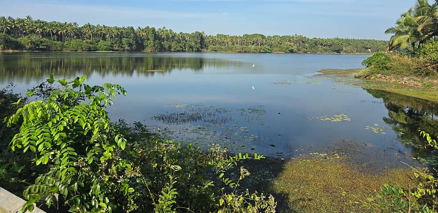 ಚಾಂತಾರು ಗ್ರಾಮಕ್ಕೆ ನೀರುಣಿಸುವ ಚಾಂತಾರು ಮದಗ