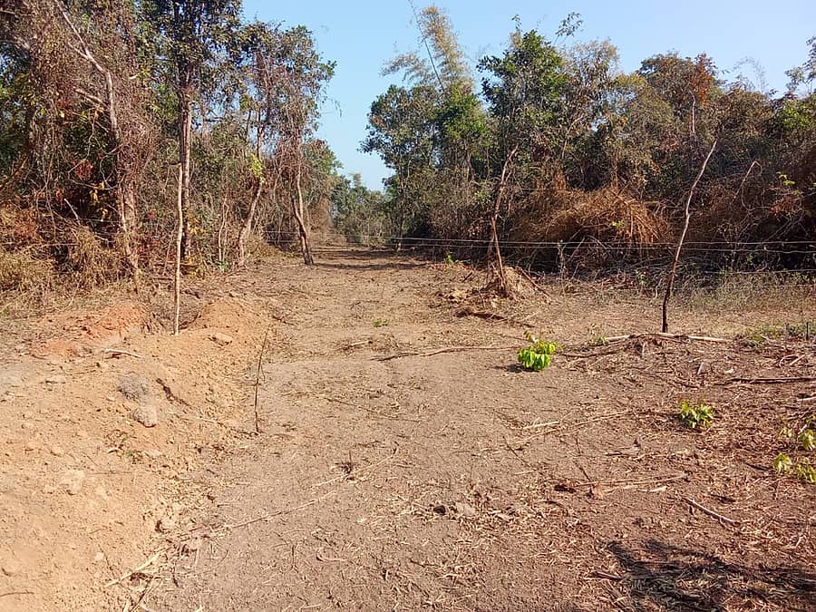 ನರಸಿಂಹರಾಜಪುರ ತಾಲ್ಲೂಕು ರಾವೂರು, ಲಿಂಗಾಪುರ ಗ್ರಾಮದ ವ್ಯಾಪ್ತಿಯಲ್ಲಿ ಸೋಲಾರ್ ಟೆಂಟಕಲ್ ಬೇಲಿ ನಿರ್ಮಾಣಕ್ಕೆ ಜಾಗ ಸ್ವಚ್ಛಗೊಳಿಸಿರುವುದು