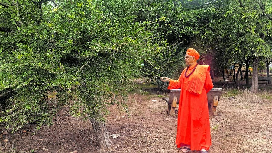 <div class="paragraphs"><p>ವನ ವೀಕ್ಷಣೆಯಲ್ಲಿ ಪಂಚಮ ಶಿವಲಿಂಗೇಶ್ವರ ಸ್ವಾಮೀಜಿ</p></div>