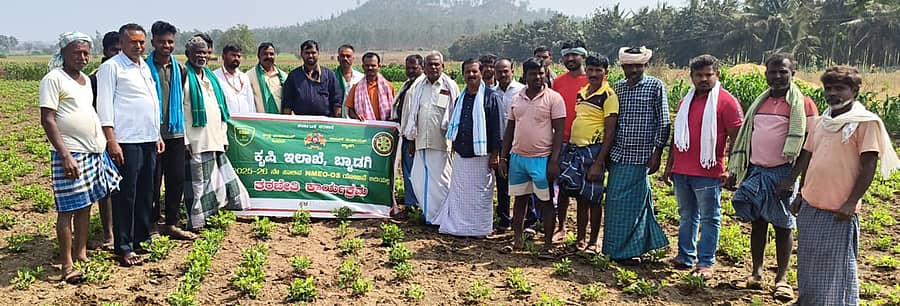 ಬ್ಯಾಡಗಿ ತಾಲ್ಲೂಕಿನ ಅರಬಗೊಂಡ ಗ್ರಾಮದಲ್ಲಿ ರಾಷ್ಟ್ರೀಯ ಖಾದ್ಯ ತೈಲ ಅಭಿಯಾನ ಯೋಜನೆಯಡಿ ಹಮ್ಮಿಕೊಂಡಿದ್ದ ಶೇಂಗಾ ತಳಿಗಳ ತರಬೇತಿ ಕಾರ್ಯಕ್ರಮದಲ್ಲಿ ಸಹಾಯಕ ಕೃಷಿ ನಿರ್ದೇಶಕ ಗಣೇಶ ಕಮ್ಮಾರ ರೈತರಿಗೆ ಮಾಹಿತಿ ನೀಡಿದರು 