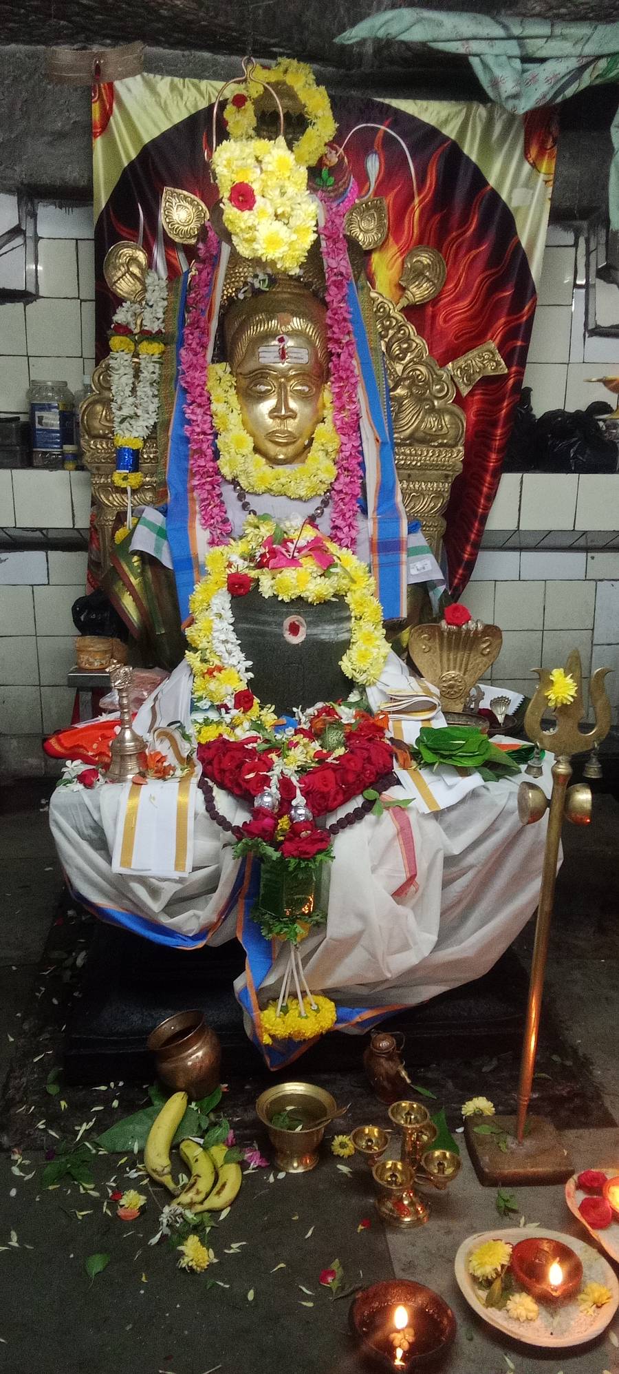 ತಿ.ನರಸೀಪುರ‌ ಪಟ್ಟಣದ ಶ್ರೀಬಳ್ಳೇಶ್ಬರ ಸ್ವಾಮಿ ದೇವಾಲಯದ ಶಿವಲಿಂಗಕ್ಕೆ ವಿಶೇಷ ಪೂಜೆ ಸಲ್ಲಿಸಲಾಯಿತು