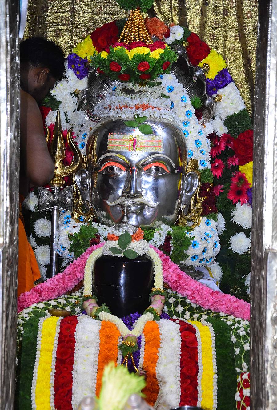 ಶಿವರಾತ್ರಿ ಅಂಗವಾಗಿ ಚಿತ್ರದುರ್ಗದ ನೀಲಕಂಠೇಶ್ವರಸ್ವಾಮಿಗೆ ವಿಶೇಷ ಅಲಂಕಾರ ಮಾಡಿರುವುದು