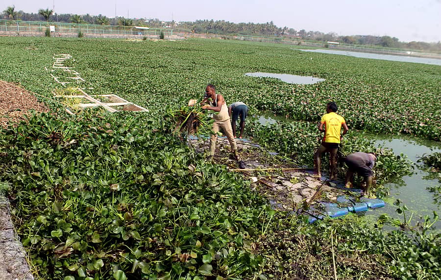 ಹುಬ್ಬಳ್ಳಿಯ ಉಣಕಲ್‌ ಕೆರೆಯಲ್ಲಿನ ಜಲಕಳೆಯನ್ನು ತೆಗೆಯುತ್ತಿರುವ ಸಿಬ್ಬಂದಿ
‍–ಪ್ರಜಾವಾಣಿ ಚಿತ್ರ: ಗುರು ಹಬೀಬ 