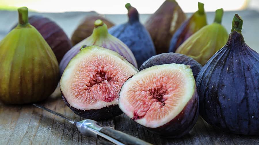 <div class="paragraphs"><p>ಅಂಚೂರ&nbsp;</p></div>