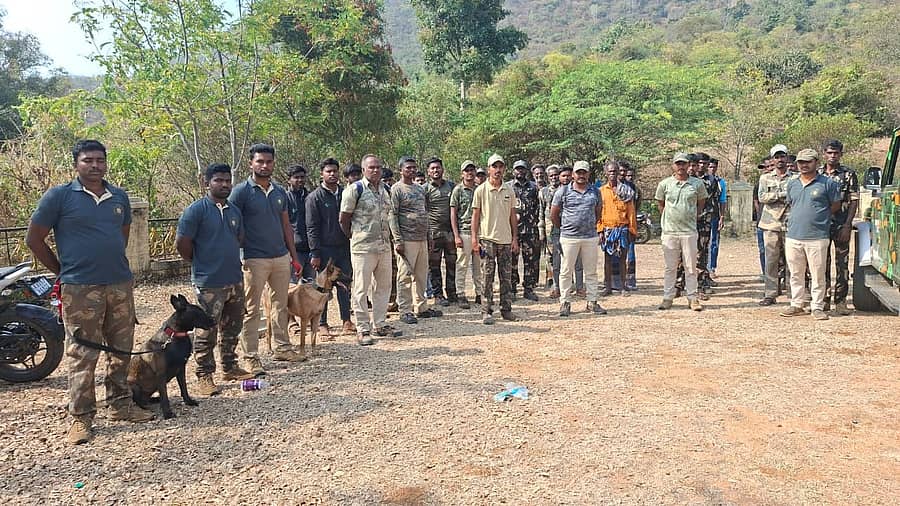 ಬಿಆರ್‌ಟಿ ಅರಣ್ಯವ್ಯಾಪ್ತಿಯ ಕೊಳ್ಳೇಗಾಲ ವನ್ಯಜೀವಿ ವಲಯದ ಗುಂಡಾಲ್ ಜಲಾಶಯದ ಬಳಿ ಉರುಳಿಗೆ ಸಿಲುಕಿ ಹುಲಿ ಮೃತಪಟ್ಟಿರುವ ಹಿನ್ನೆಲೆಯಲ್ಲಿ ಸೋಮವಾರ ಅರಣ್ಯ ಇಲಾಖೆಯ ಸಿಬ್ಬಂದಿ ಆರೋಪಿಗಳ ಪತ್ತೆಗೆ ಶೋಧ ಕಾರ್ಯಾಚರಣೆ ನಡೆಸಿದರು
