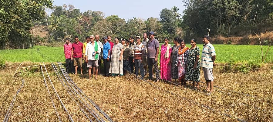 ರೈತ ಮುಖಂಡ ಆಲ್ಫೋನ್ಸ್ ಡಿಸೋಜ ಅವರು ಕೈಯಲ್ಲಿ ವಿಷದ ಬಾಟಲಿ ಹಿಡಿದುಕೊಂಡು ಸ್ಟೆರ್ ಲೈಟ್ ಕಂಪನಿಯ ಕಾಮಗಾರಿಯನ್ನು ಮೂಡುಬಿದಿರೆ ಸಮೀಪದ ನಿಡ್ಡೋಡಿಯಲ್ಲಿ ಸೋಮವಾರ ವಿರೋಧಿಸಿದರು