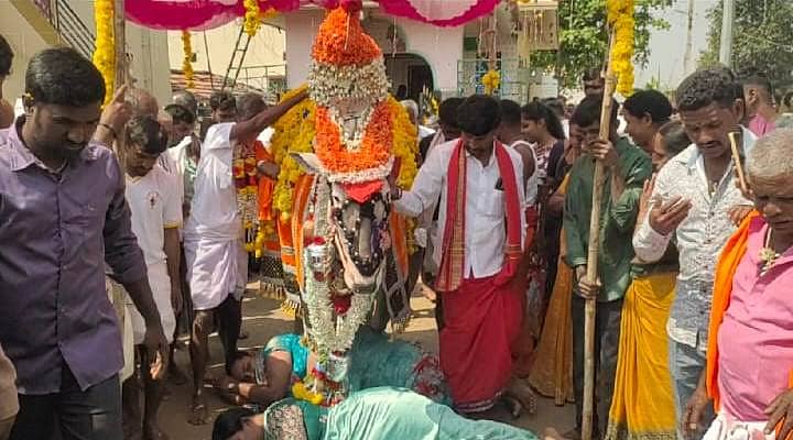 ಸಂತೇಮರಹಳ್ಳಿ ಸಮೀಪದ ಕಾವುದವಾಡಿ ಗ್ರಾಮದಲ್ಲಿ ನಡೆದ ಬೀರೇಶ್ವರ ಜಾತ್ರಾ ಮಹೋತ್ಸವದಲ್ಲಿ ಭಕ್ತರು ಮಲಗಿ ಬಸವನಿಂದ ದಾಟಿಸಿಕೊಂಡರು