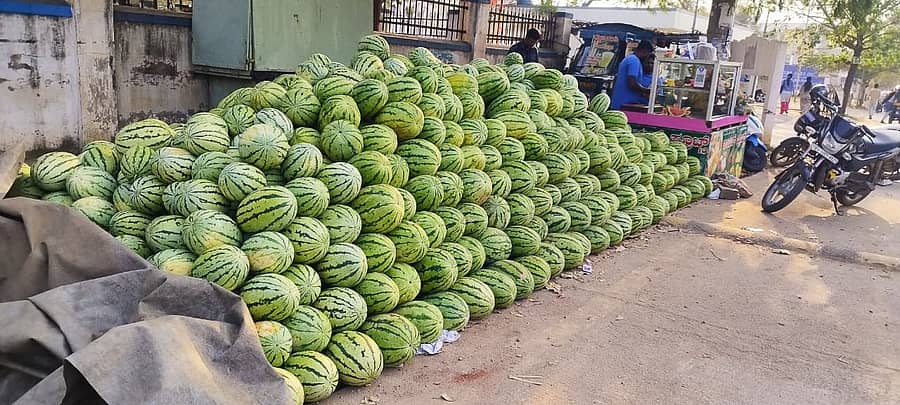 ಚಾಮರಾಜನಗರದ ಬಿ.ರಾಚಯ್ಯ ಜೋಡಿ ರಸ್ತೆಯಲ್ಲಿ ಮಾರಾಟಕ್ಕಿಟ್ಟಿರುವ ಕಲ್ಲಂಗಡಿ