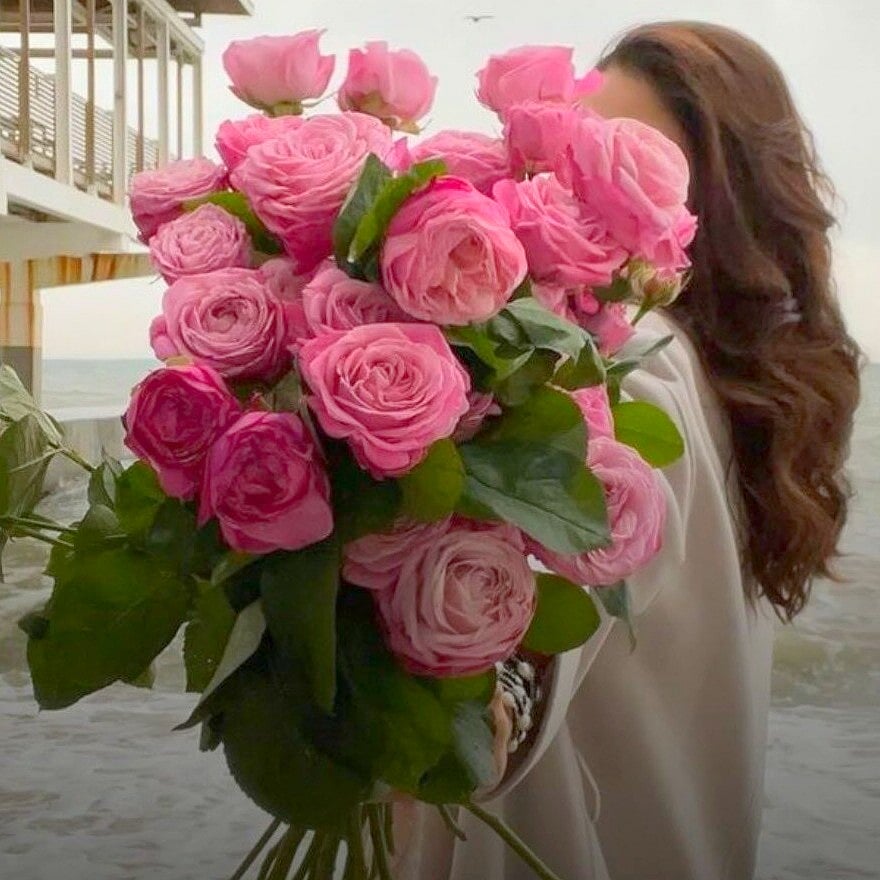 Rose Exports: ಪ್ರೇಮಿಗಳ ದಿನ: ಈ ಸಾರಿ ಬೆಂಗಳೂರಿಂದ ಅತಿ ಹೆಚ್ಚು ಗುಲಾಬಿ ...
