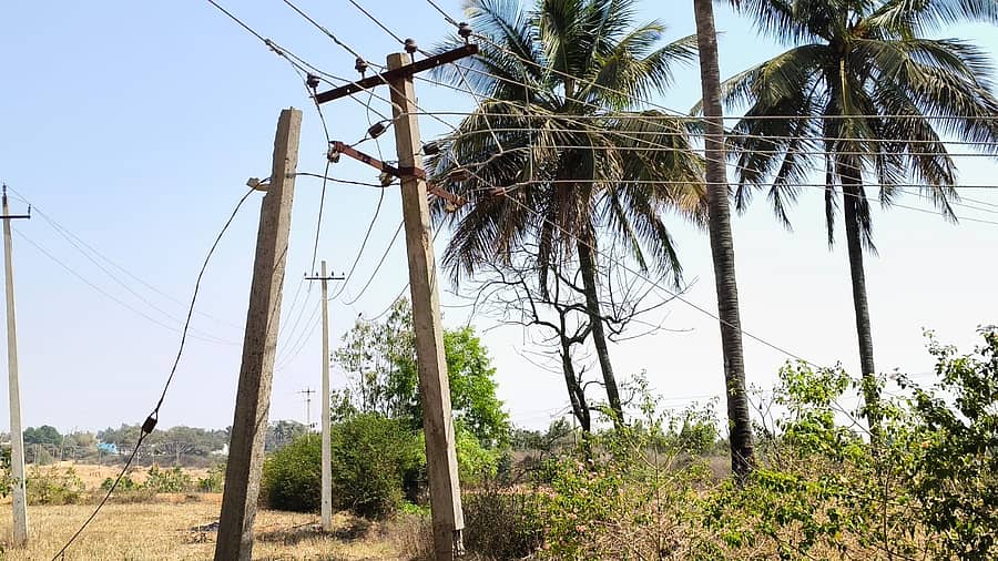 ಹೊಸಕೋಟೆ ತಾಲ್ಲೂಕಿನ ಕೆಂಬಡಿಗಾನಹಳ್ಳಿ ರೈತರ ತೋಟಗಳಲ್ಲಿ ಬೀಳುವ ಸ್ಥಿತಿಯಲ್ಲಿರುವ ವಿದ್ಯುತ್‌ ಕಂಬಗಳು