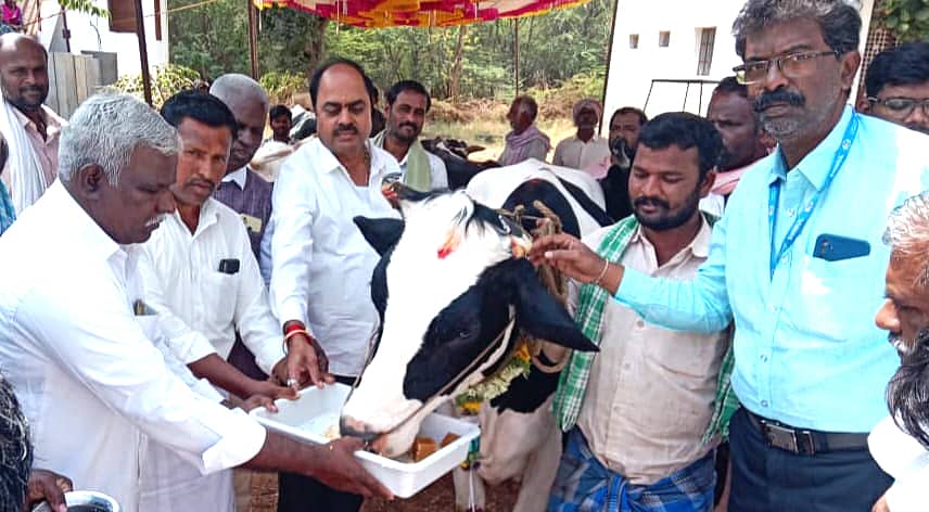 ಮೊಳಕಾಲ್ಮುರು ತಾಲ್ಲೂಕಿನ ಕೊಂಡ್ಲಹಳ್ಳಿಯಲ್ಲಿ ಗುರುವಾರ ನಡೆದ ಮಿಶ್ರತಳಿ ಹಸುಗಳ ಪ್ರದರ್ಶನ ಮತ್ತು ಬರಡುರಾಸು ಚಿಕಿತ್ಸಾ ಶಿಬಿರವನ್ನು ಶಿಮುಲ್‌ ನಿರ್ದೇಶಕ ಬಿ.ಸಿ. ಸಂಜೀವಮೂರ್ತಿ ಉದ್ಘಾಟಿಸಿದರು