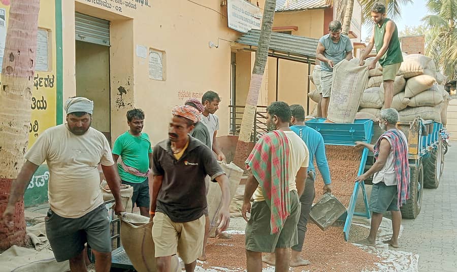 ಉಪ್ಪಿನಬೆಟಗೇರಿಯ ಪ್ರಾಥಮಿಕ ಕೃಷಿ ಪತ್ತಿನ ಸಹಕಾರ ಸಂಘದಲ್ಲಿ ಸರ್ಕಾರದ ಬೆಂಬಲ ಬೆಲೆ ಯೋಜನೆಯಡಿ ತೆರೆಯಲಾದ ಖರೀದಿ ಕೇಂದ್ರಕ್ಕೆ ರೈತರು ಟ್ರ‍್ಯಾಕ್ಟರ್‌ಗಳಲ್ಲಿ ಕಡಲೆ ಕಾಳು ತಂದಿದ್ದರು