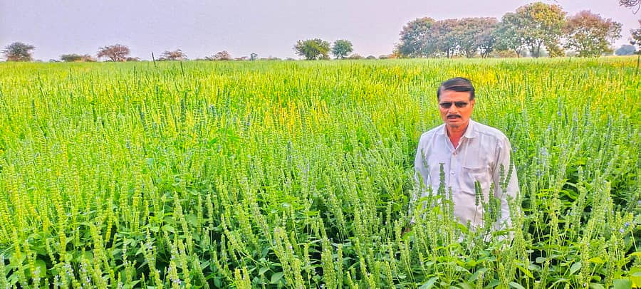 ಹುಲಸೂರ ಪಟ್ಟಣದ ರೈತ ಸುಧಾಕರ ಫುಲಾರಿ ತಮ್ಮ ಜಮೀನಿನಲ್ಲಿ ಬೆಳೆದ ವಾಣಿಜ್ಯ ಬೆಳೆ ‘ಚಿಯಾ’ ಧಾನ್ಯವನ್ನು ಪ್ರದರ್ಶಿಸಿದರು