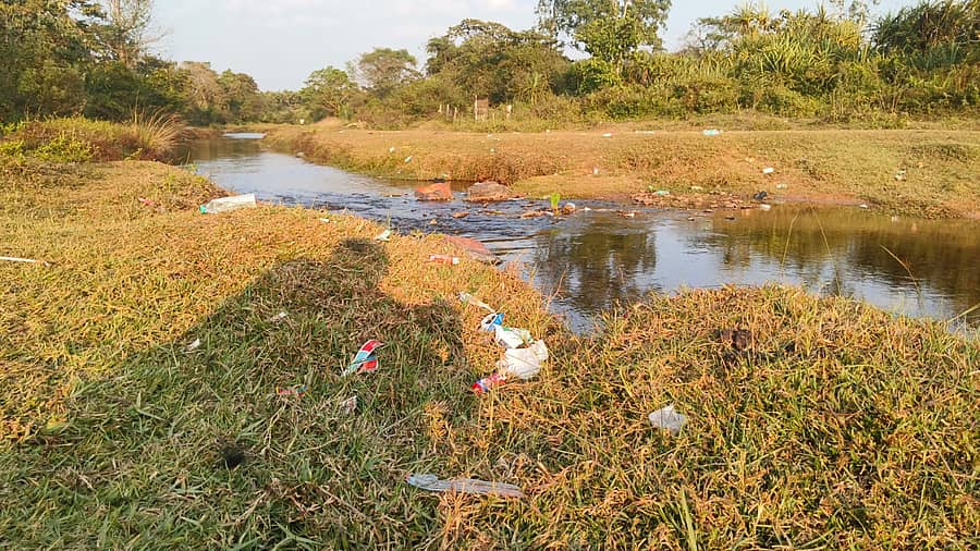 <div class="paragraphs"><p>ಪ್ರಾತಿನಿಧಿಕ ಚಿತ್ರ</p></div>