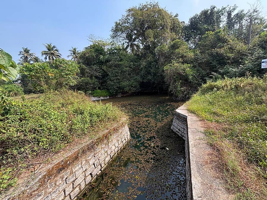 ನಡ್ಸಾಲು ಪ್ರದೇಶದಲ್ಲಿರುವ ಮದ್ಮಾಲ್ ಕೆರೆ