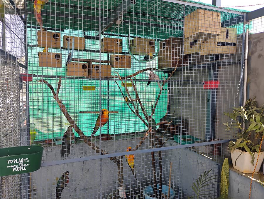 ಪಕ್ಷಿಗಳಿಗಾಗಿ ಮಾಡಿರುವ ವ್ಯವಸ್ಥೆ