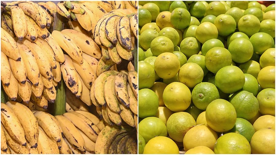 <div class="paragraphs"><p>ನಂಜನಗೂಡಿನ ರಸಬಾಳೆ,&nbsp;ಇಂಡಿಯ&nbsp;ಕಾಗ್ಝಿ ಲಿಂಬೆ</p></div>